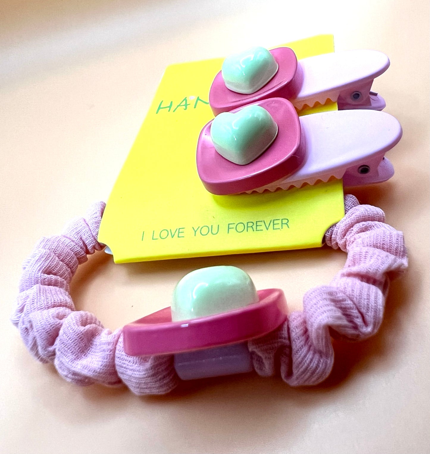 Hair Clip and Elastic Duo